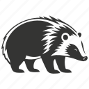 hog badger, southeast asia, nocturnal, omnivore, arctonyx, mammal
