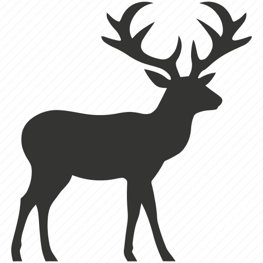 Elk, large deer, north america, antlers, cervus canadensis, mammal icon - Download on Iconfinder