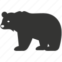 brown bear, ursus arctos, carnivore, hibernation, mammal