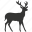 fallow deer, dama dama, spots, herbivore, europe, mammal 
