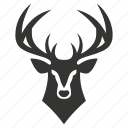 deer, hoofed, herbivore, antlers, cervidae, mammal