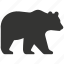 grizzly bear, brown bear, large, ursus arctos horribilis, mammal 