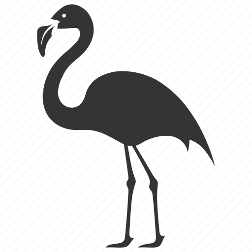 Flamingo bird, waders, pink plumage, tropics, waterfowl, bird icon - Download on Iconfinder