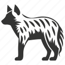 striped hyena, carnivore, hyaena hyaena, africa, hyenas, mammal