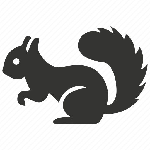 Squirrel, rodent, tree-dwelling, nuts, mammal icon - Download on Iconfinder