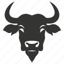 cape buffalo, herbivore, large, horns, syncerus caffer, mammal