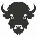 bison, north america, large herbivore, bison bison, mammal