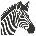 zebra, africa, stripes, herbivore, equus zebra, mammal