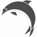 dolphin, fin, mammal, ocean, smart, swim, water