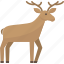 deer, animal, flat icon, forest, nature, wild 