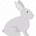 rabbit, animal, bunny, cute, flat icon, nature, zoo