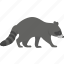 raccoon, animal, flat icon, forest, nature, wild 