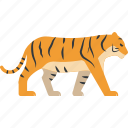flat icons, tiger, animal, forest, nature, wild, zoo