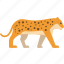 leopard, animal, fast, flat icon, forest, nature, wild 