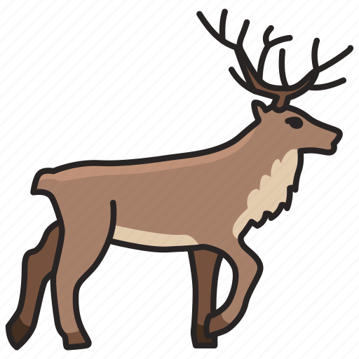 Animal, deer, wild, wild animal, zoo icon - Download on Iconfinder