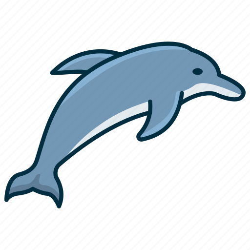 Animal, dolphin, fish, wild, wild animal, zoo icon - Download on Iconfinder