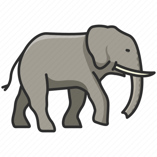 Animal, elephant, pachiderm, wild, wild animal, zoo icon - Download on Iconfinder