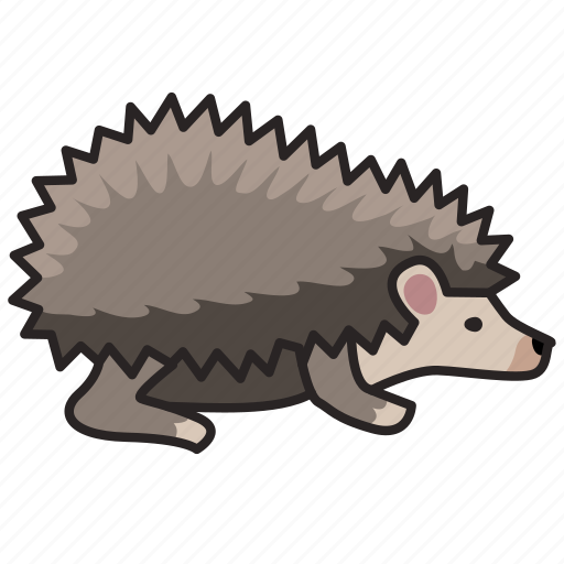 Animal, hedgehog, wild, wild animal, zoo icon - Download on Iconfinder
