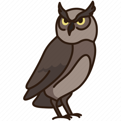 Animal, bird, owl, wild, wild animal, zoo icon - Download on Iconfinder