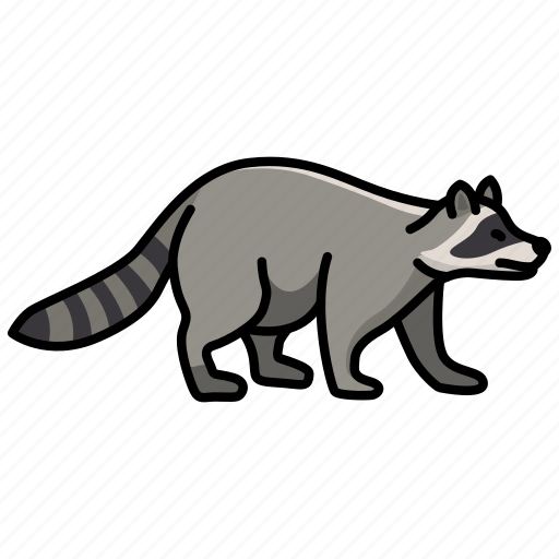 Animal, raccoon, wild, wild animal, zoo icon - Download on Iconfinder