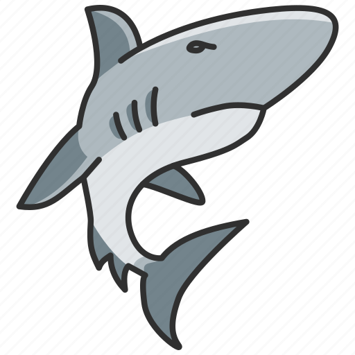 Animal, fish, shark, wild, wild animal, zoo icon - Download on Iconfinder