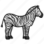 animal, wild, wild animal, zebra, zoo 