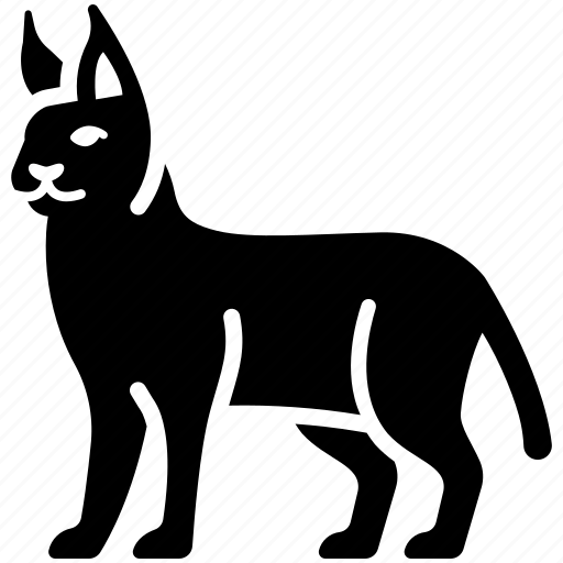 Animal, donkey, howl, llama, pack, wild, wolf icon - Download on Iconfinder