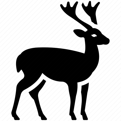 Animal, stag, antlers, christmas, forest, reindeer, deer icon - Download on Iconfinder