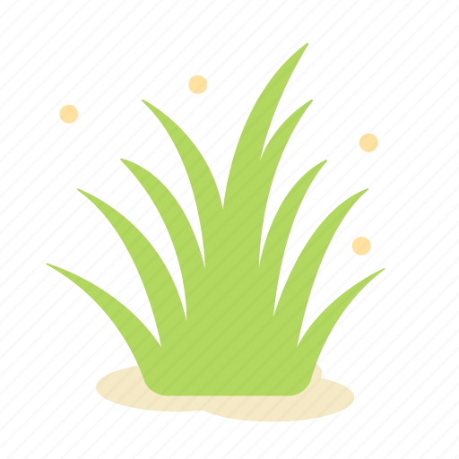 Ecology, flower, garden, grass, green, nature, plant icon - Download on Iconfinder