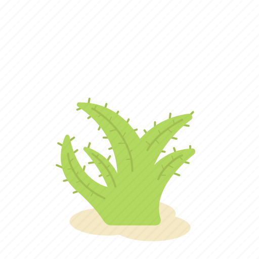 Aloe vera, floral, flower, forest, garden, nature, plant icon - Download on Iconfinder
