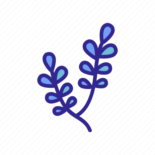 Branch, flower, natural, outline, plant, prickly, wildflower icon - Download on Iconfinder