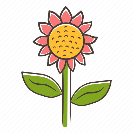 Helianthus, helianthus icon, sunflower, wild flower icon - Download on Iconfinder