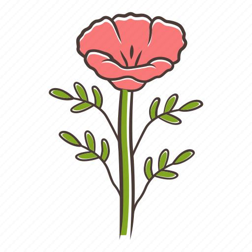 California poppy, california poppy icon, corn rose wildflower, papaver rhoeas icon - Download on Iconfinder