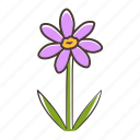 coreopsis, coreopsis icon, rudbeckia, wildflower