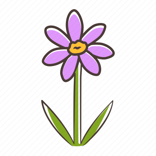 Coreopsis, coreopsis icon, rudbeckia, wildflower icon - Download on Iconfinder