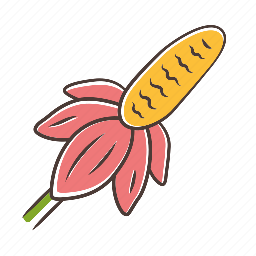 Mexican hat, mexican hat icon, prairie coneflower, wildflower icon - Download on Iconfinder