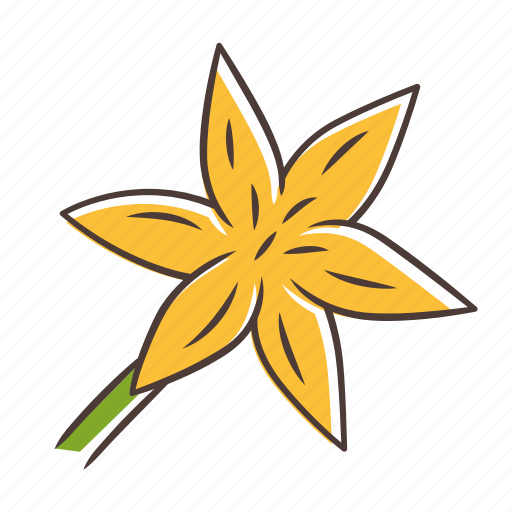Blooming wildflower, common star lily, common starlily icon, zigadene icon - Download on Iconfinder