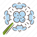 erysimum franciscanum, franciscan wallflower, franciscan wallflower icon, wildflower