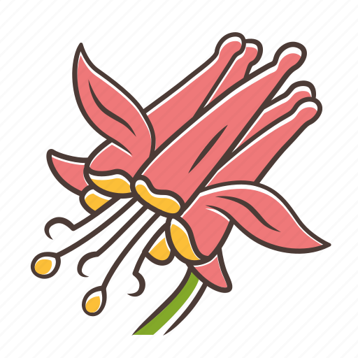Aquilegia formosa, crimson columbine, crimson columbine icon, wildflower icon - Download on Iconfinder