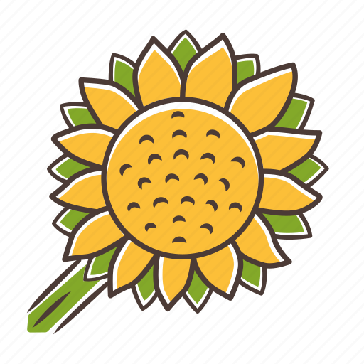 Helianthus, helianthus icon, sunflower, wildflower icon - Download on Iconfinder