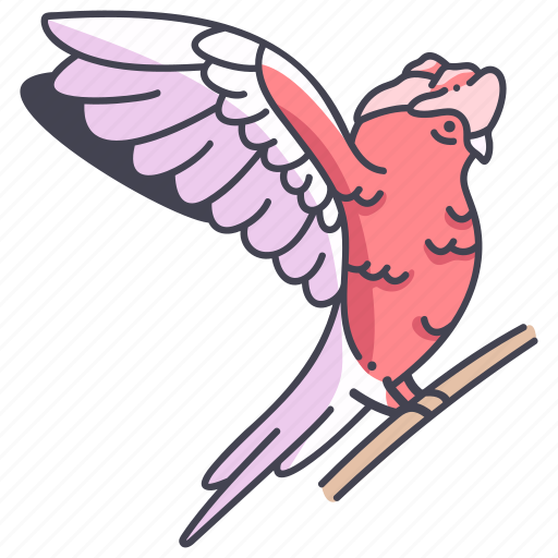 Wing, animal, bird, cockatoo, parrot, galah icon - Download on Iconfinder