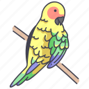 wing, animal, bird, fly, parrot, conures, sunconure