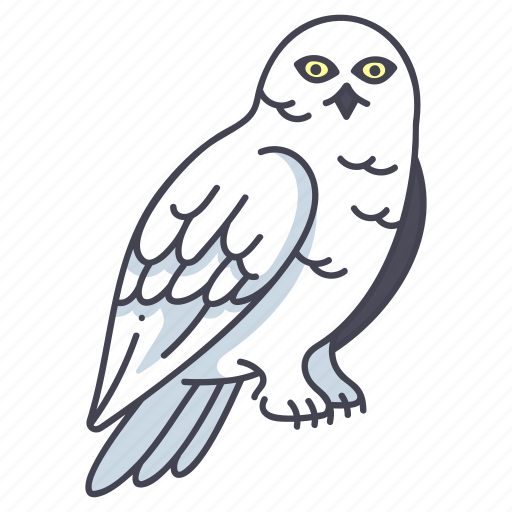 Wing, animal, bird, parrot, owl, snowy icon - Download on Iconfinder
