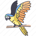 wing, animal, bird, macaw, parrot, bluegold