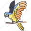 wing, animal, bird, macaw, parrot, bluegold 