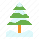 pine tree, christmas, snow, tree, winter