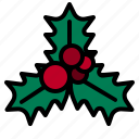 mistletoe, christmas, ornament, decoration, nature
