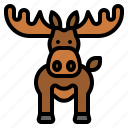 moose, animal, wildlife, zoo, winter 