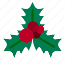 mistletoe, christmas, ornament, decoration, nature