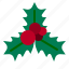 mistletoe, christmas, ornament, decoration, nature 